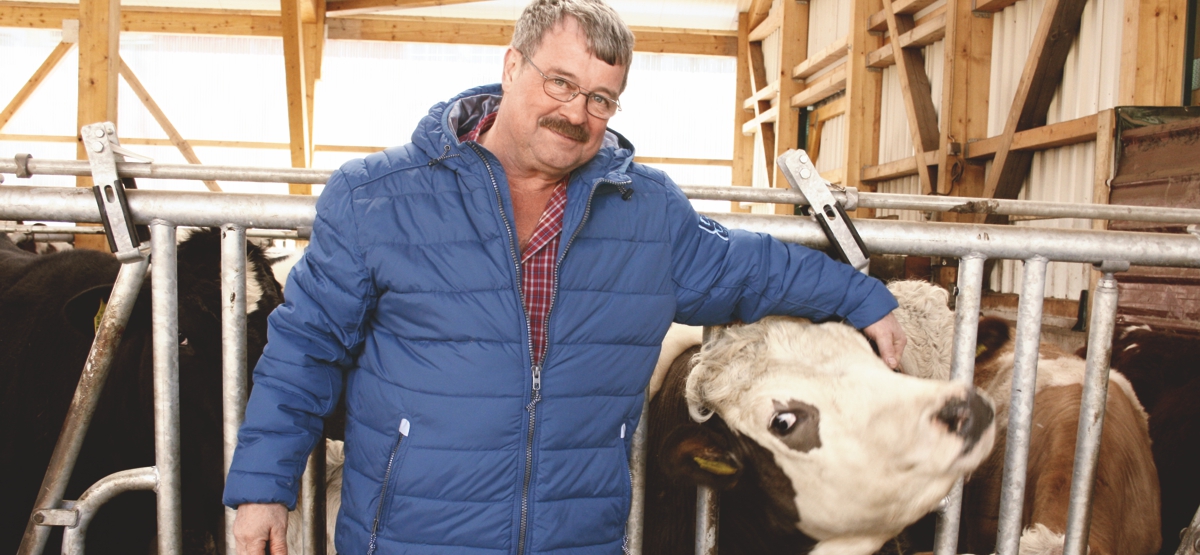 Milchviehwirtschaft Heinz Thur Dahlem